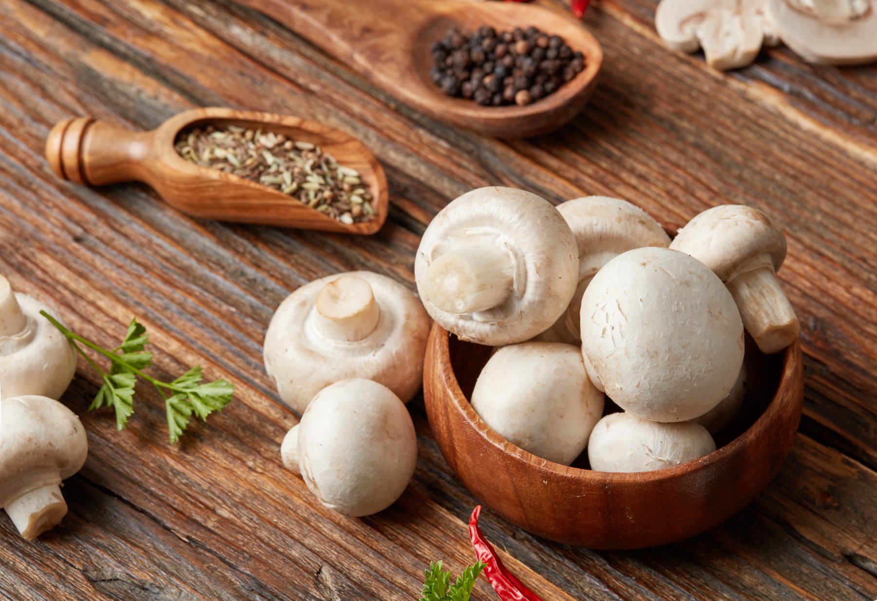 Let the Sun Shine in